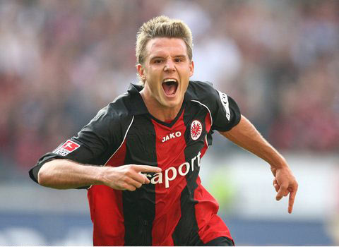 术特点与草 术特点与草